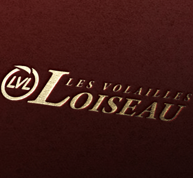 Création logotype Loiseau