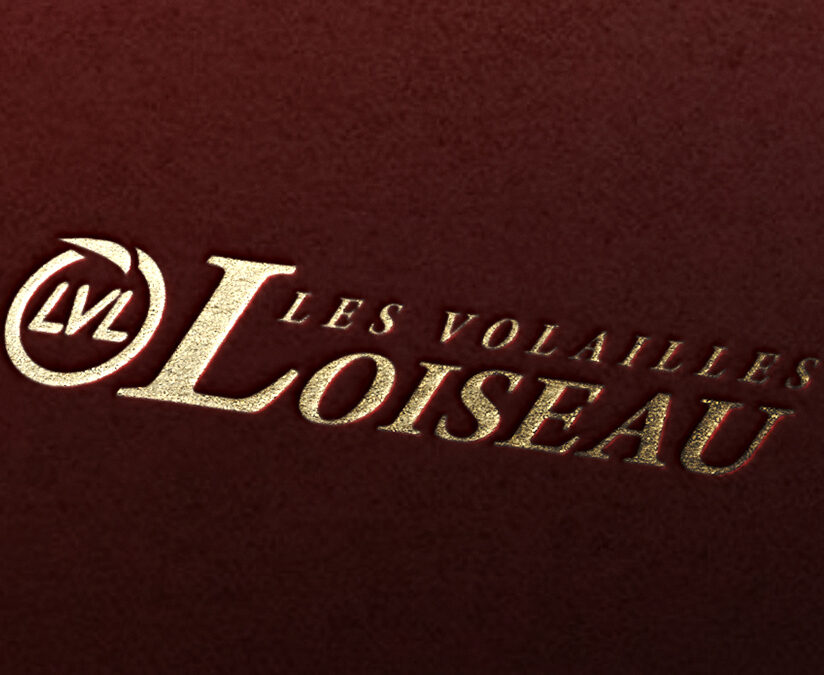 Création logotype – Loiseau